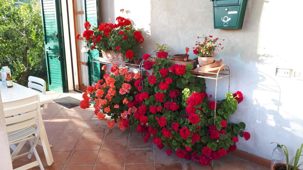 Casa Di Giulia Appartement Santa Luce Buitenkant foto