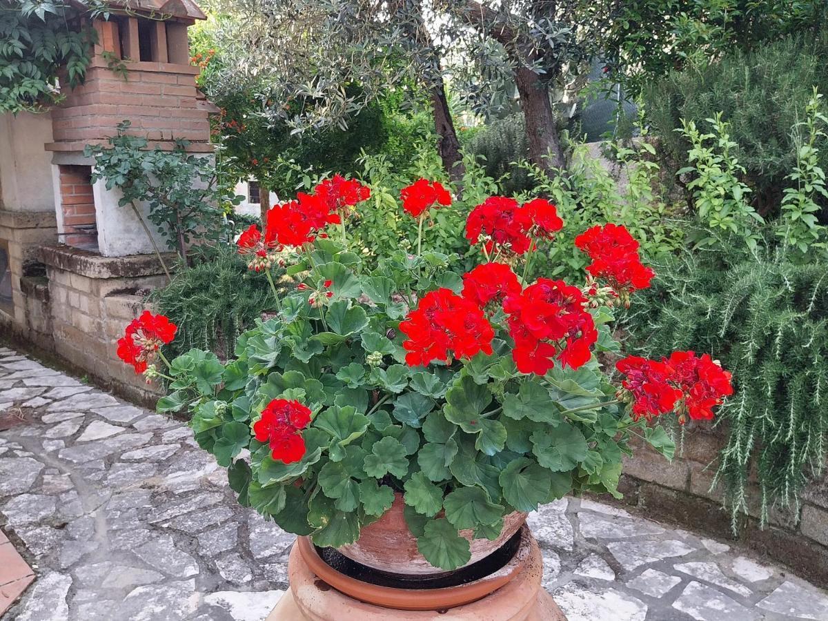 Casa Di Giulia Appartement Santa Luce Buitenkant foto